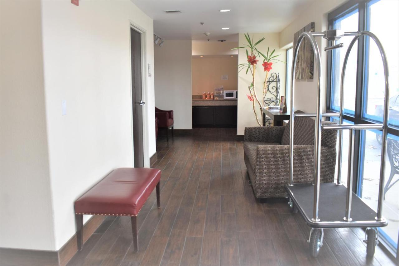 Super 8 By Wyndham New Braunfels I-35 Hotel Ngoại thất bức ảnh